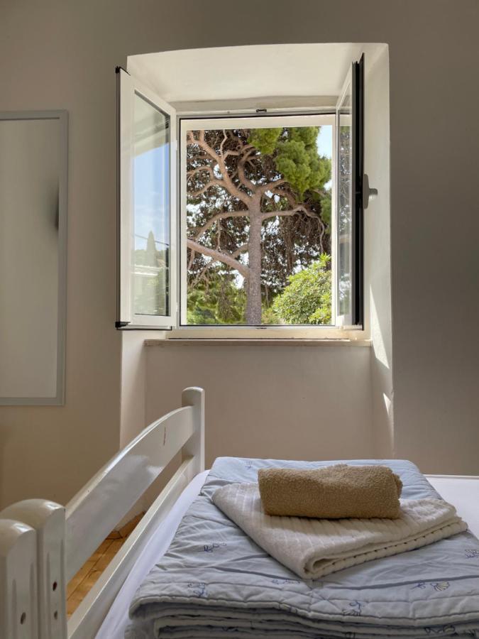 דירות דוברובניק Tree מראה חיצוני תמונה